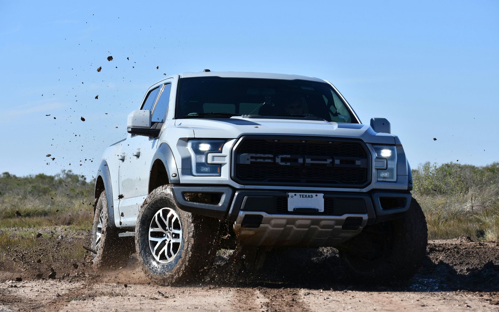 White Ford F-150 crew-cab pickup truck